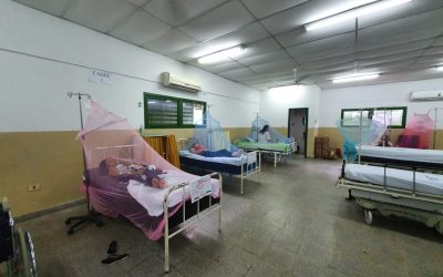 11 fallecidos y 16 personas en cuidados intensivos por casos de chikungunya