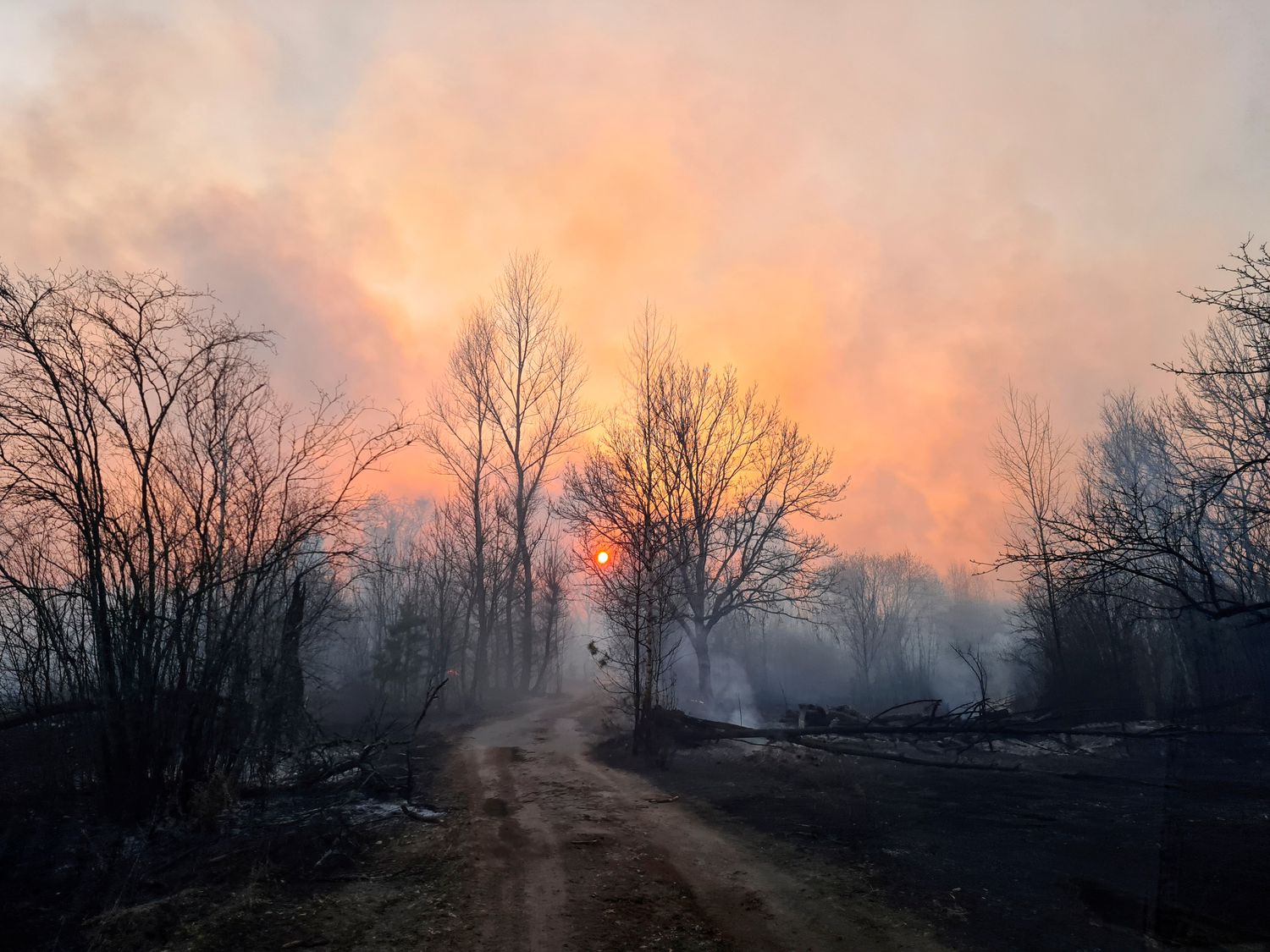 El bosque en una parte del área de exclusión de Chernóbil fue consumido por las llamas. Foto: Stringer / Reuters