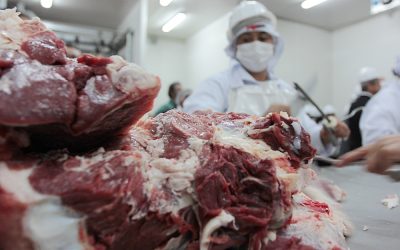 Reducción del costo de la carne no se refleja en precios para el consumidor, según ARP
