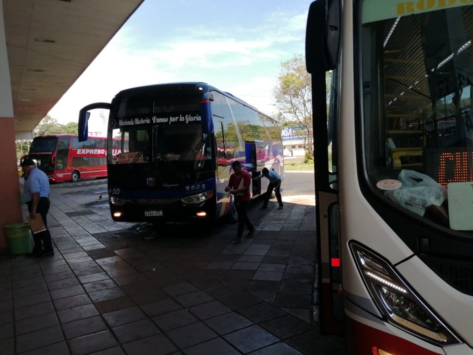 Varias empresas trabajarán con una flota reducida de buses. Foto: Terminal CDE