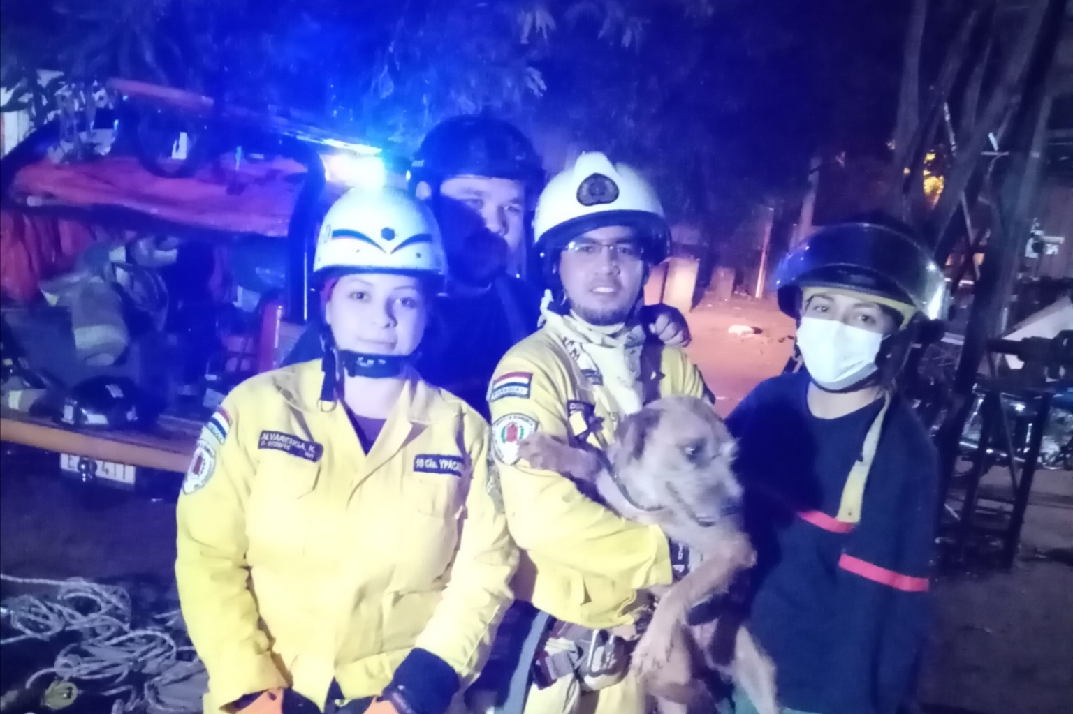 Sin heridas de consideración, el can volvió con su familia luego de ser mimado por los voluntarios. Foto: Gentileza