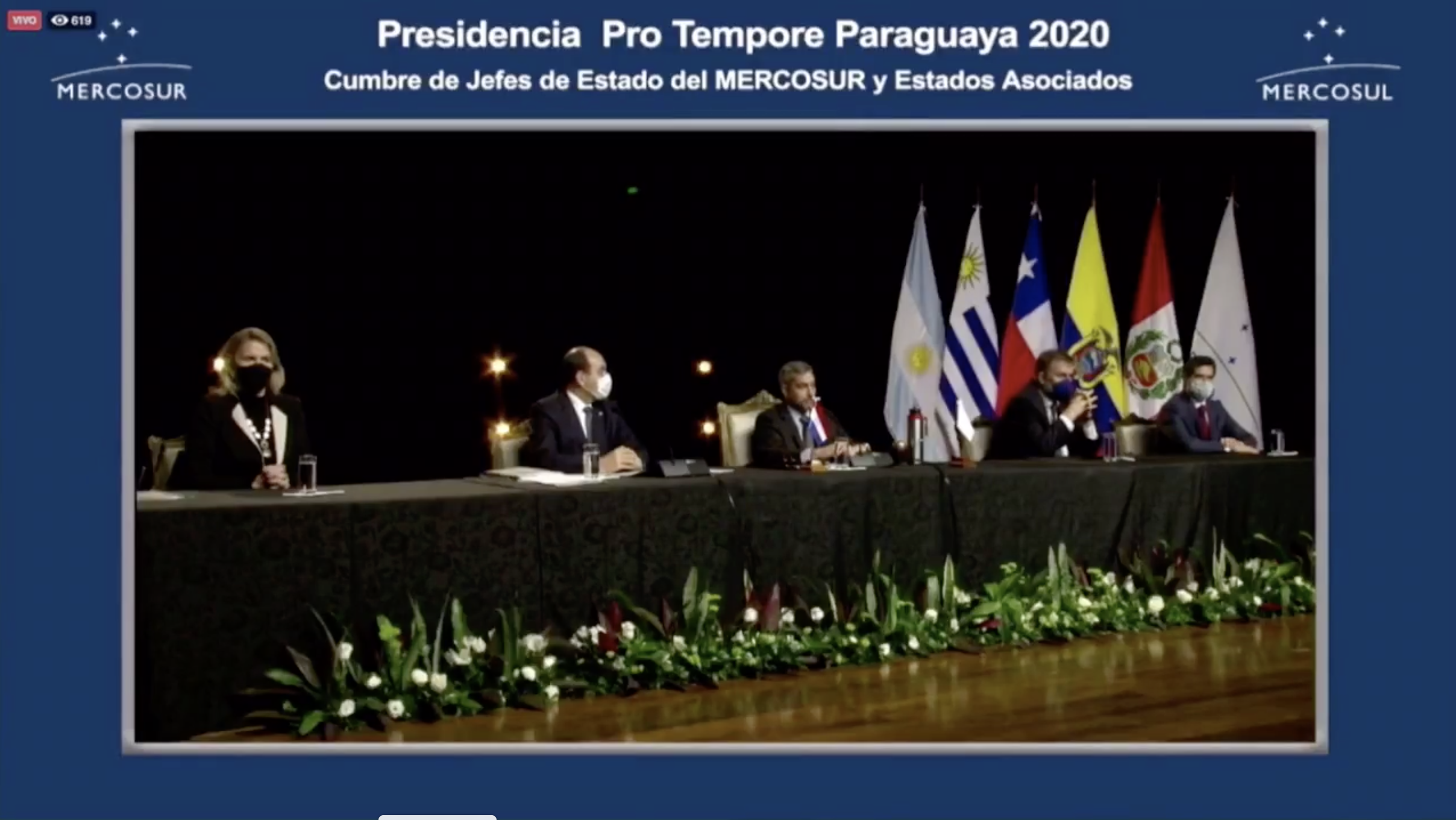 Print de pantalla de la cumbre virtual de poderes del Mercosur.