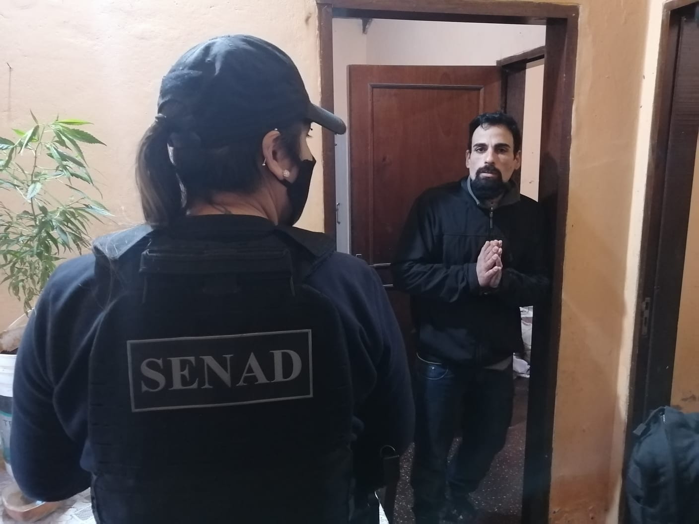 Carlos Jorge Luján Calarota fue detenido como presunto microtraficante. Foto: @senad_paraguay