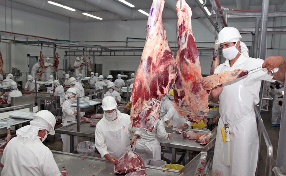 Luego de 9 años, Paraguay recuperó el mercado de la carne de Sudáfrica. Foto ilustrativa / Agencia IP Paraguay