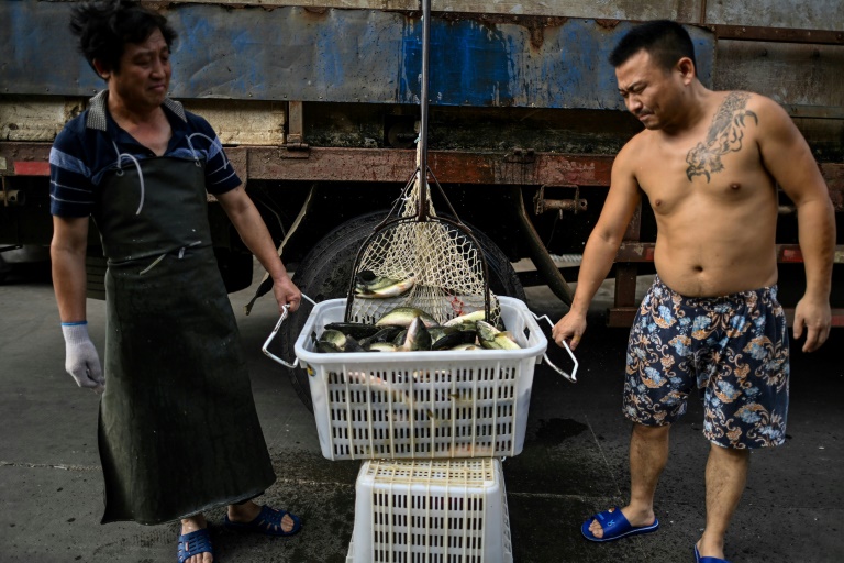Los trabajadores cargan una cesta en un mercado de pescados de Wuhan. Foto: AFP / Héctor Retamal
