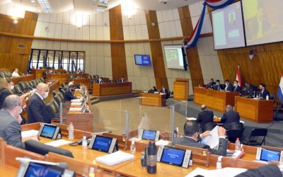 Cámara de Diputados se ratifica en proyecto de «Ley de Informconf”
