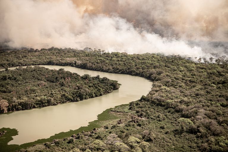 Incendio en el Pantanal Brasileño.