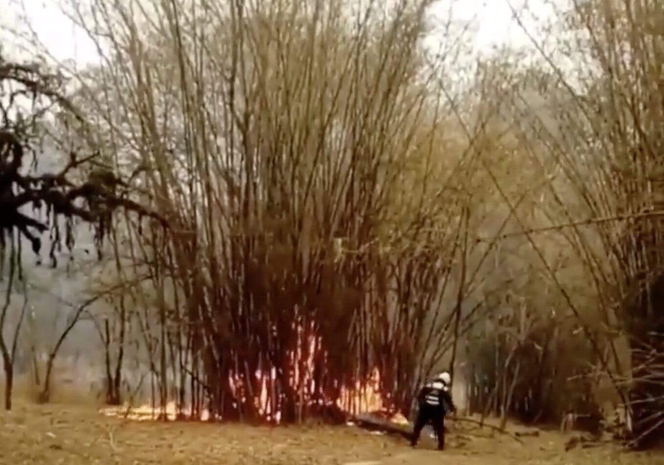 PMT frente a principio de incendio en el Botánico.