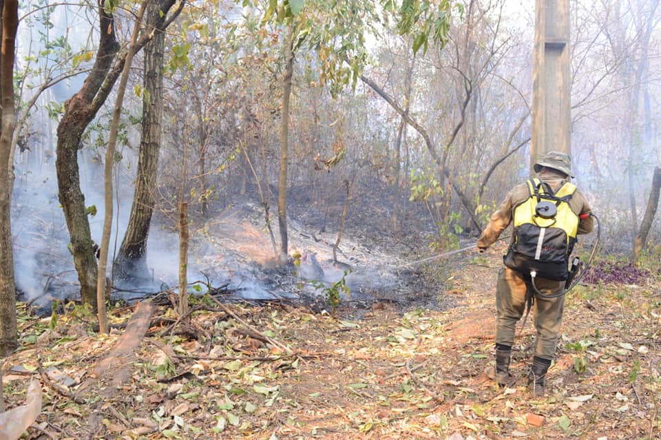 Bomberos combatiendo el fuego.