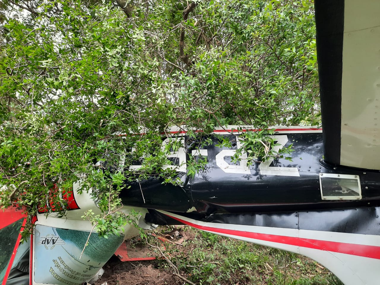 Tras chocar contra la antena, la avioneta cayó y el piloto perdió la vida. Foto: Gentileza.