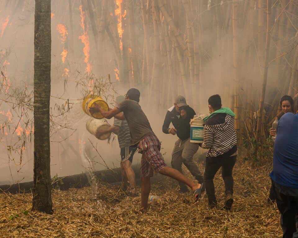 Los incendios forestales azotan a nuestro país y ponen en peligro la salud de todos los seres vivos. Foto: Gentileza.