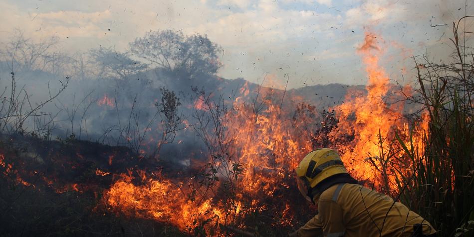 Incendio forestal, bombero combatiendo las llamas.