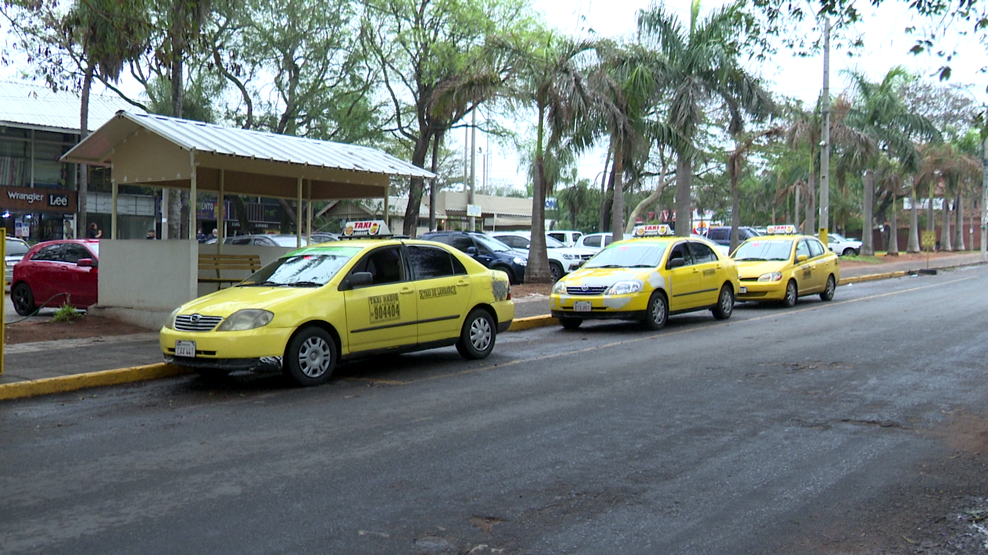 En una primera fase, afectará sólo a aquellos móviles que respondan al servicio de Taxi Radio | Foto: UNICANAL