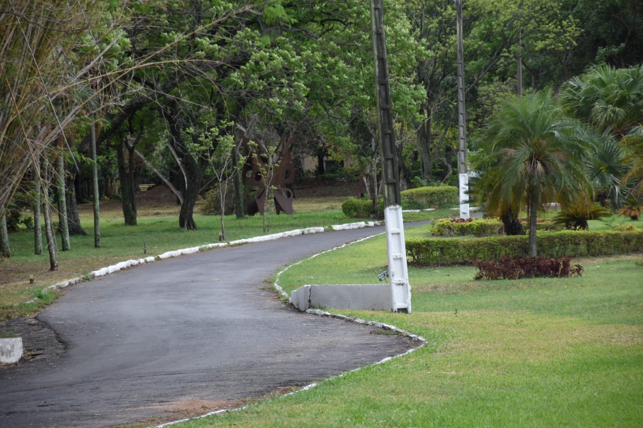 El Jardín Botánico está habilitado solo para actividades físicas. Foto: @AsuncionMuni
