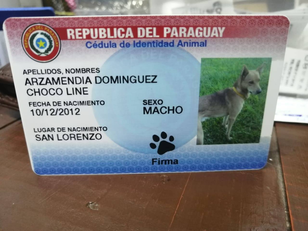 Volverán a comercializar cédulas para mascotas