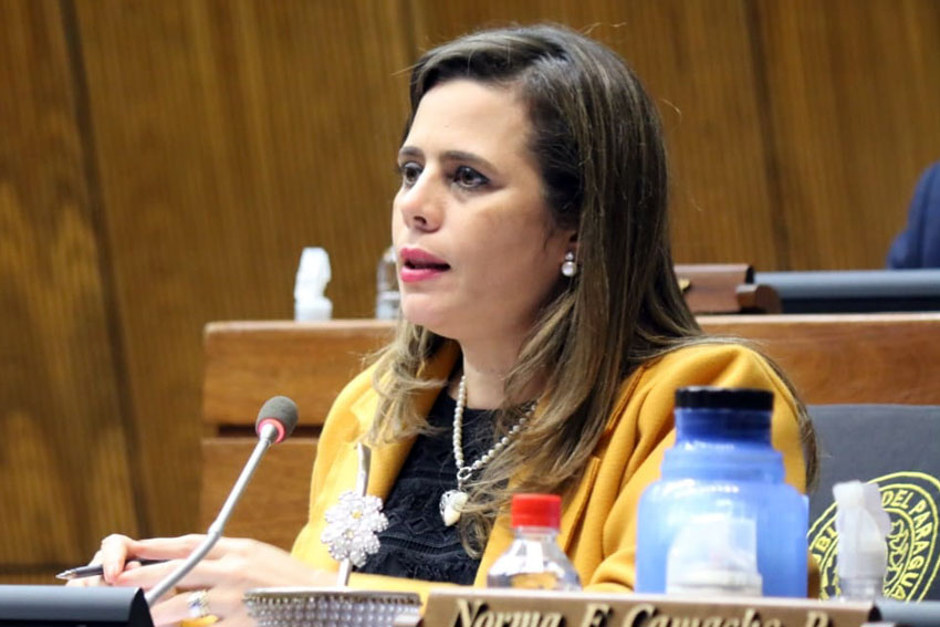 Kattya González, diputada nacional. Foto: Honorable Cámara de Diputados.