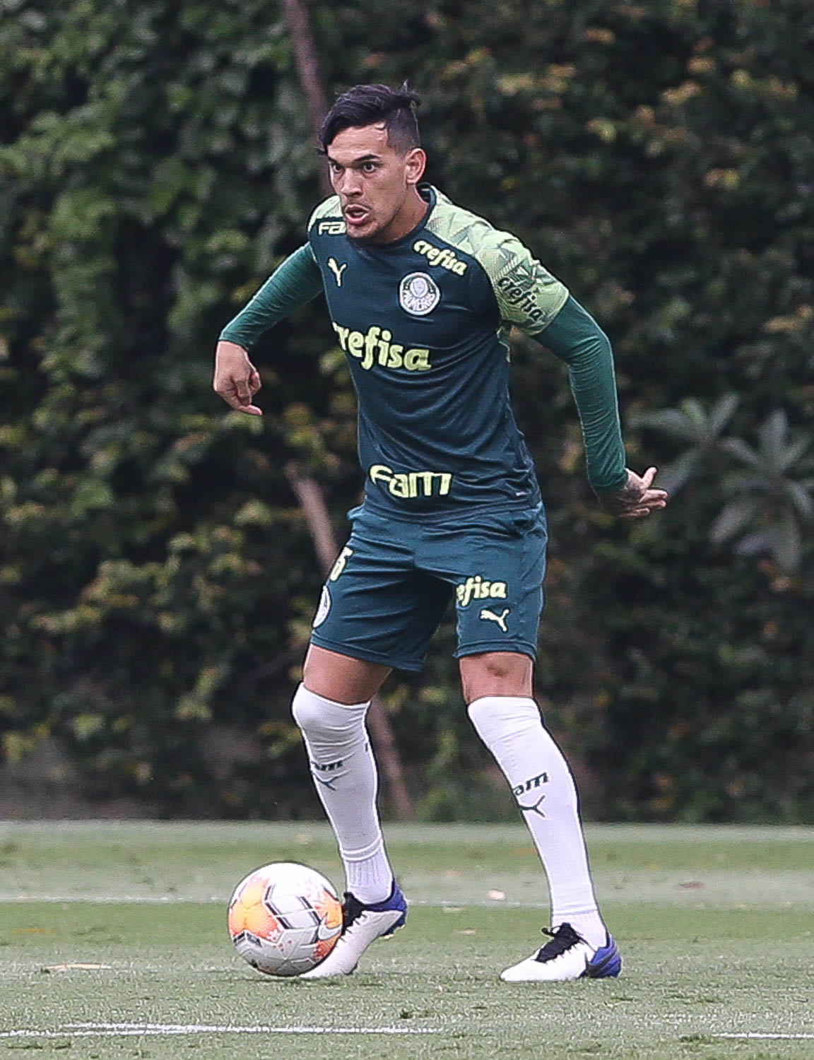 Gustavo Gómez llegaría para la final de la Libertadores