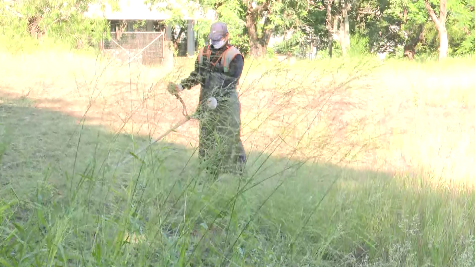 Los miembros de la Asociación de víctimas del Dengue, instan a las familias a trabajar en la eliminación de los criaderos de mosquito. Foto: captura de pantalla.