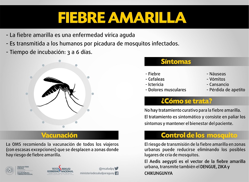 Atención viajeros: confirman un caso de fiebre amarilla en Santa Catarina