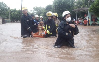 ¡Peluditos a salvo! Bomberos rescatan animales del agua