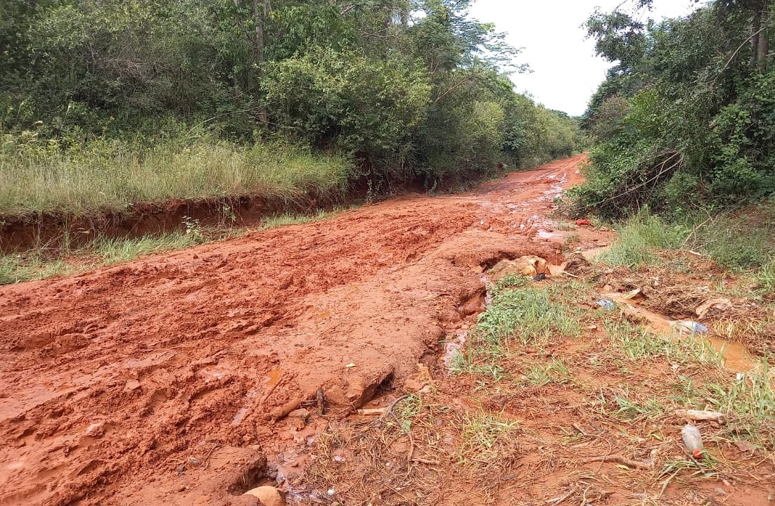 Productores frutihortícolas piden urgente reparación de caminos