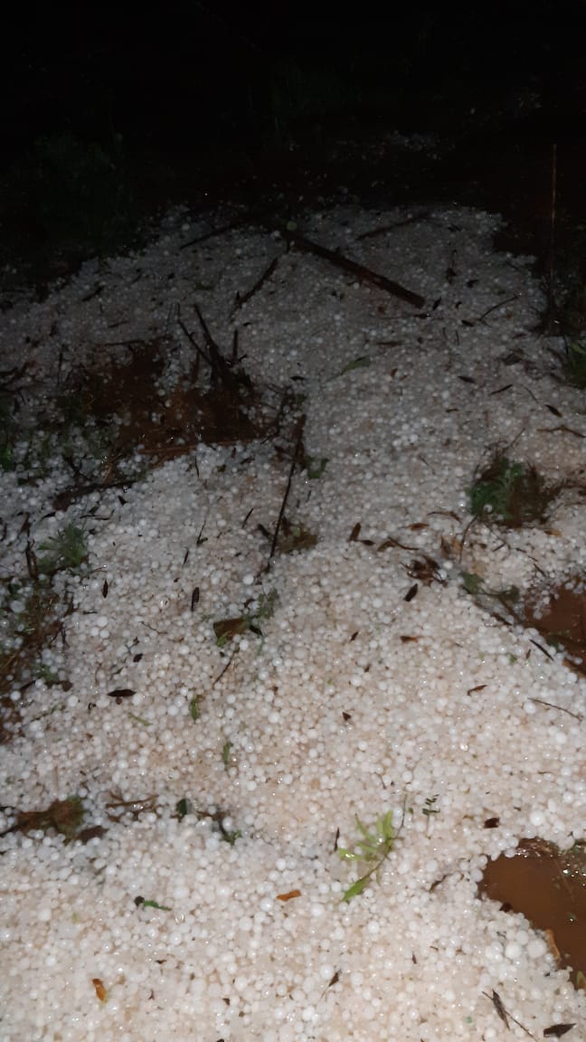 Caaguazú: volaron techos y cayeron árboles tras fuerte temporal