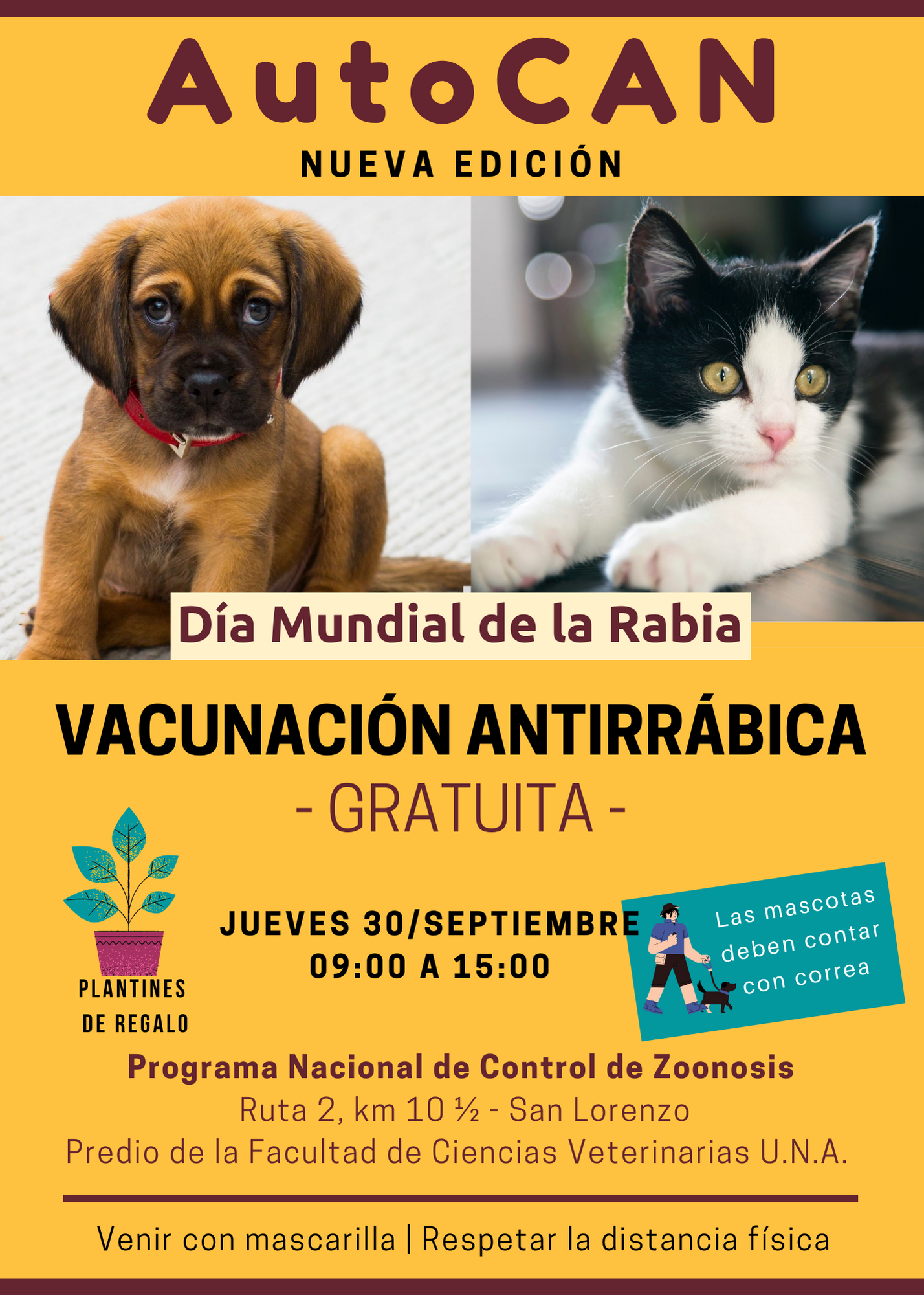 Este jueves, vacunación antirrábica gratuita para gatos y perros