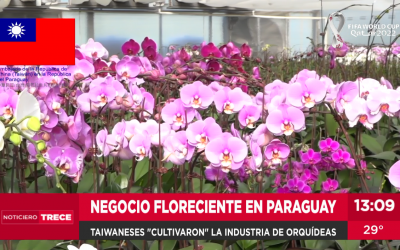 Taiwaneses desarrollaron la industria de las orquídeas en Paraguay