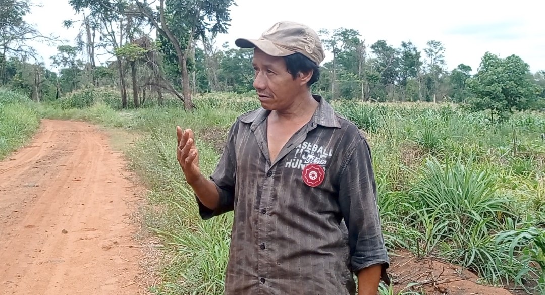 Mbya guaraní hace un llamado para frenar la tala ilegal dentro de la reserva