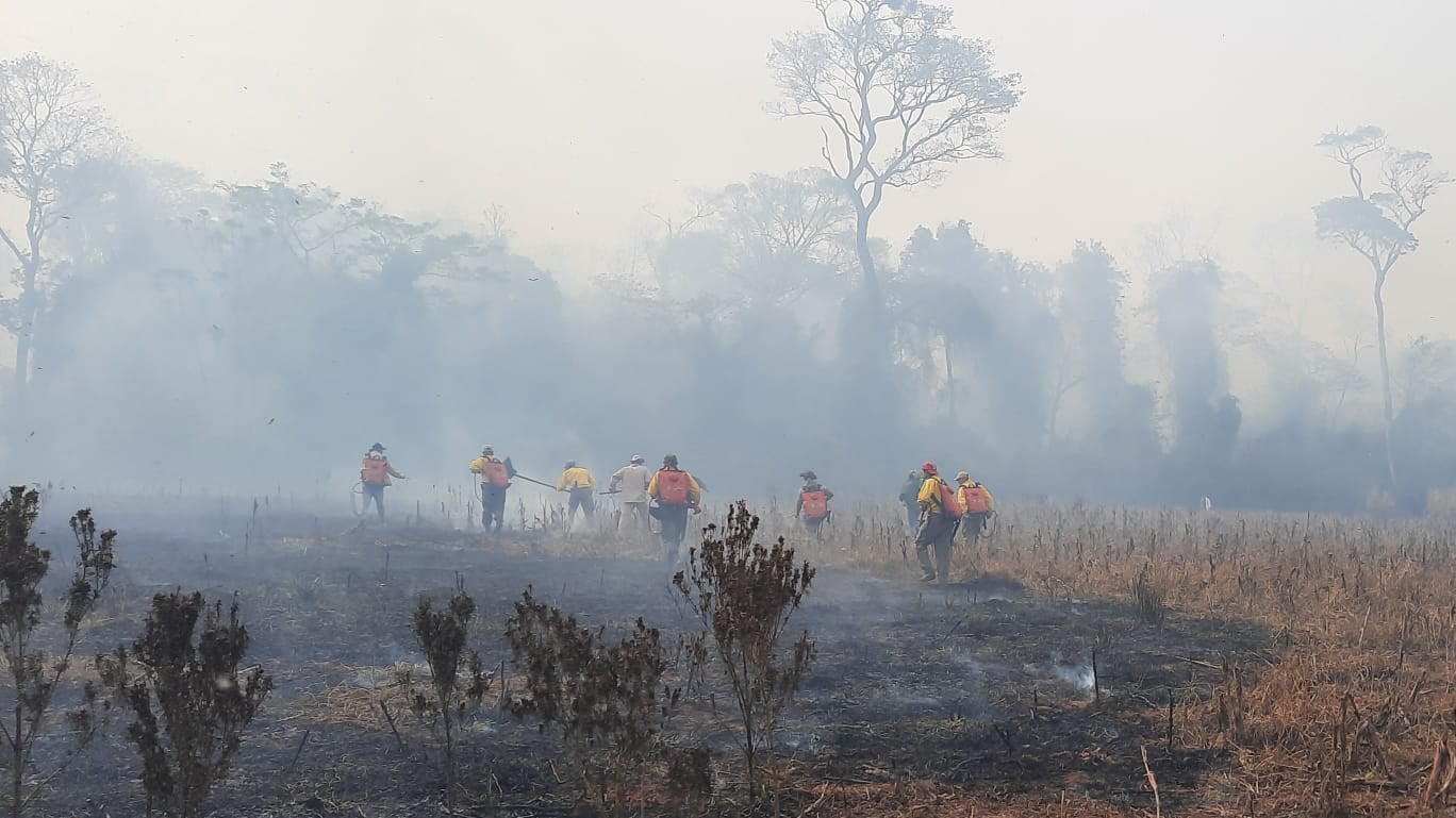 , unas 60 hectáreas fueron consumidas por las llamas