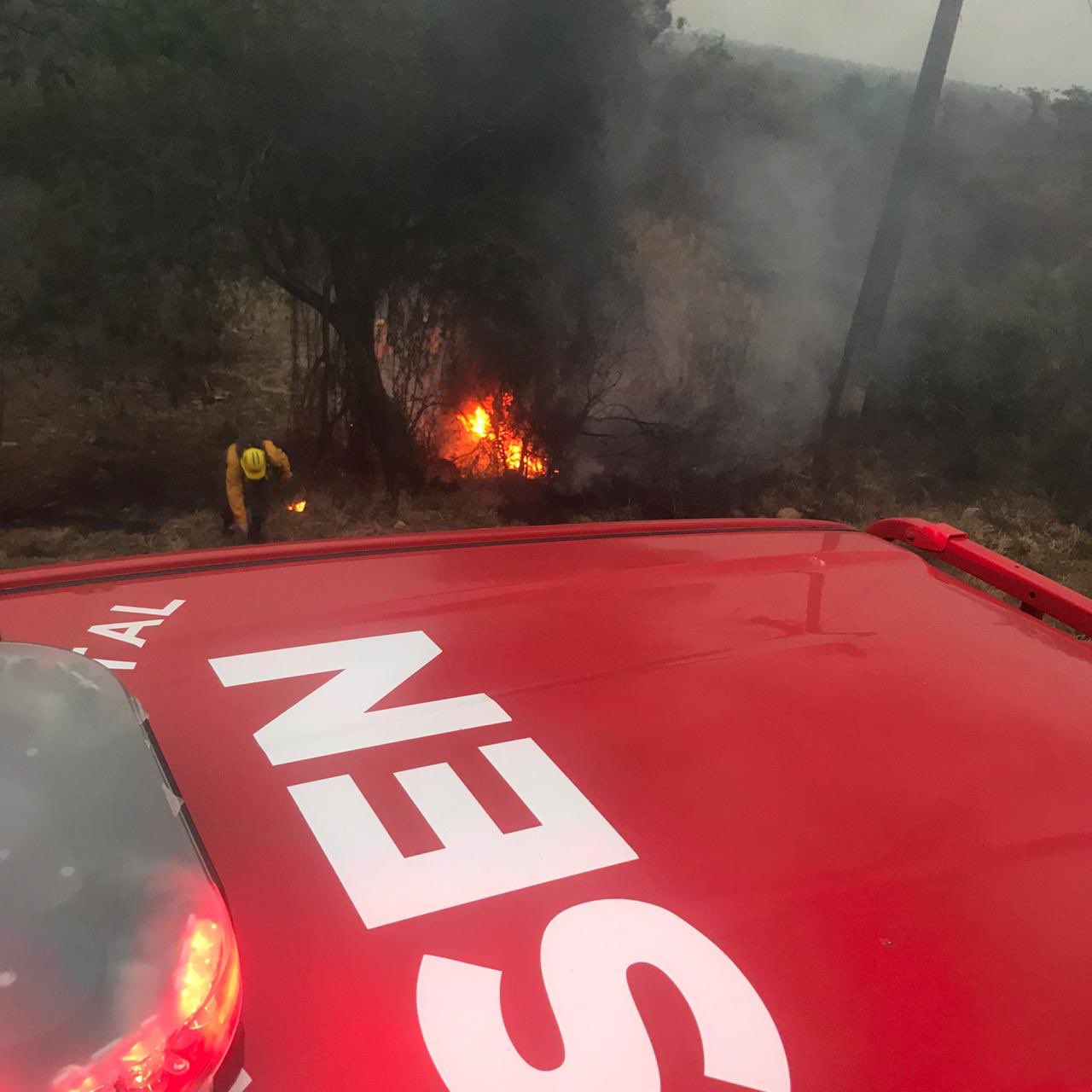 Ministro de la SEN asegura que ley de manejo de fuego subsanará vacíos que hoy existen. Foto: Agencia IP.