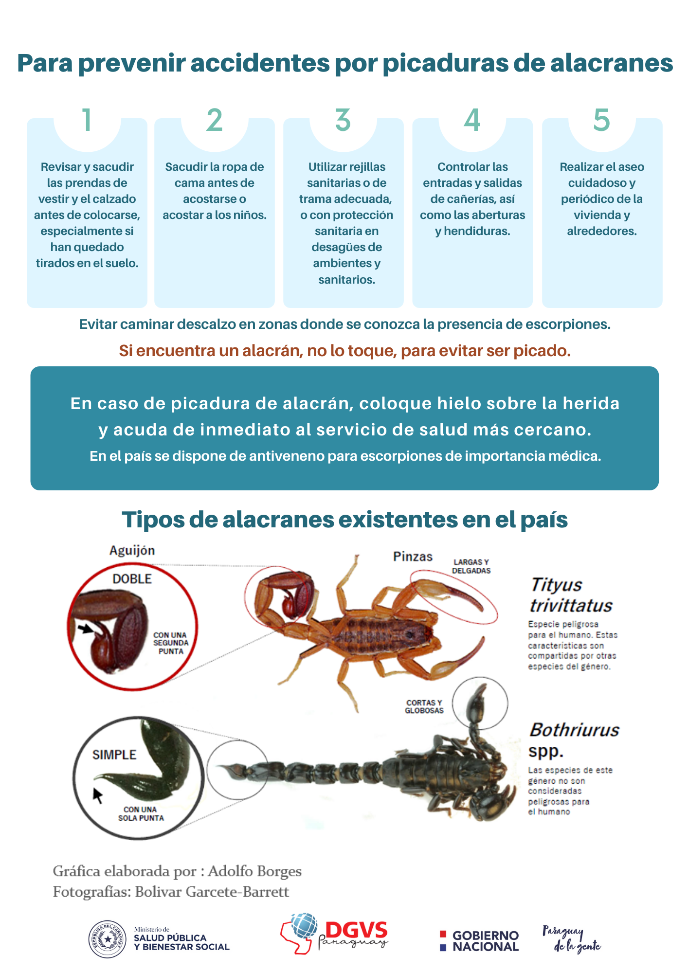 Consejos del Ministerio de Salud.