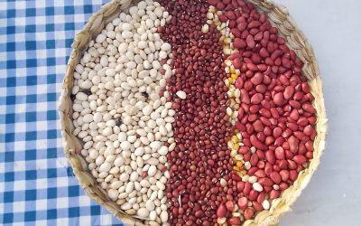 “Heñói Jey 2022”: invitan a feria de semillas nativas y criollas