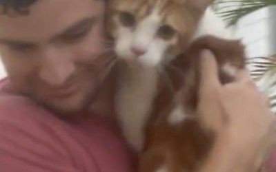 Huracán Ian: hombre arriesgó su vida para salvar la de un gatito