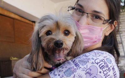 Mañana habrá jornada gratuita de vacunación para mascotas en la Costanera