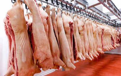 Taiwán autoriza ingreso de carne porcina paraguaya a su mercado