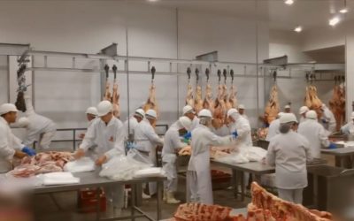 Por descuidos del gobierno Paraguay cae en el top de exportación de carnes