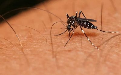Chikungunya: Niña de 8 años muere en Caaguazú
