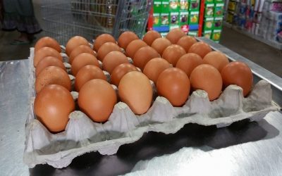 Capasu anuncia desabastecimiento de huevos a nivel país